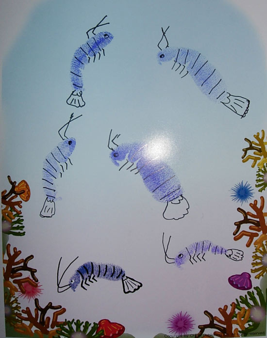 幼儿园大班美术教案:海里的虾