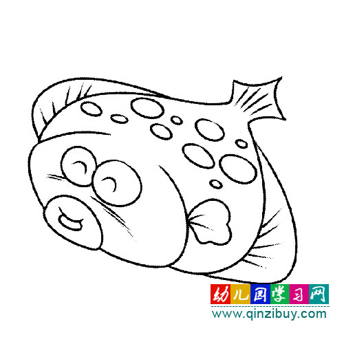 大肚子鱼:简笔画