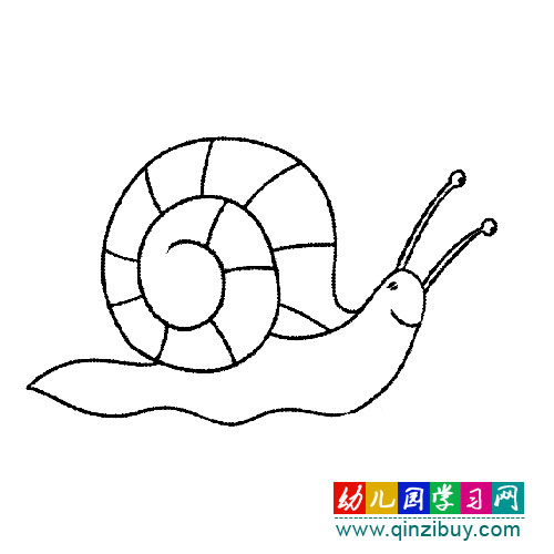 简笔画:缓慢爬行的蜗牛