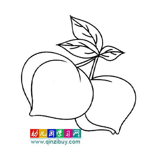 简笔画:两个鲜嫩的桃子