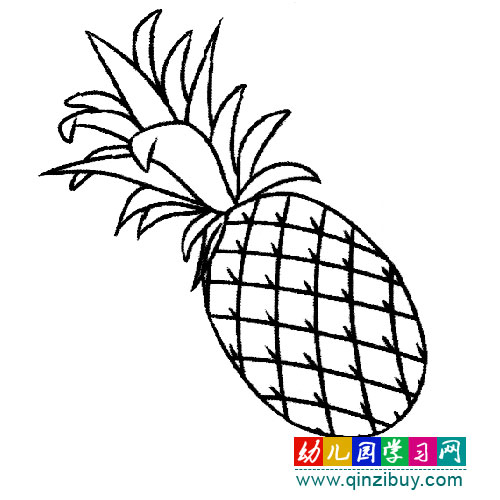 水果简笔画:新鲜的菠萝