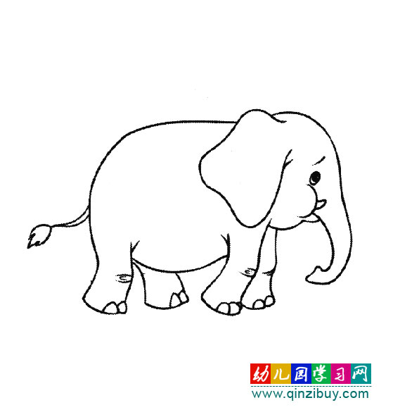 幼儿简笔画:散步的大象