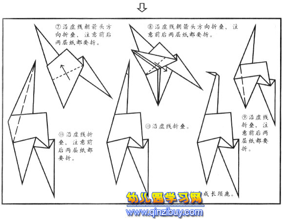 幼儿园大班折纸教案:折纸七星瓢虫 七星瓢虫的折法