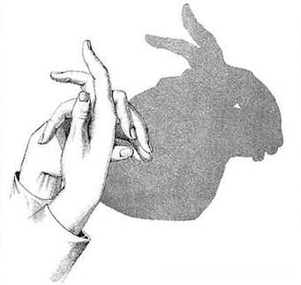 经典的手影游戏教案：小兔